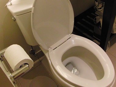 A clean white toilet after a remodel because of water damage