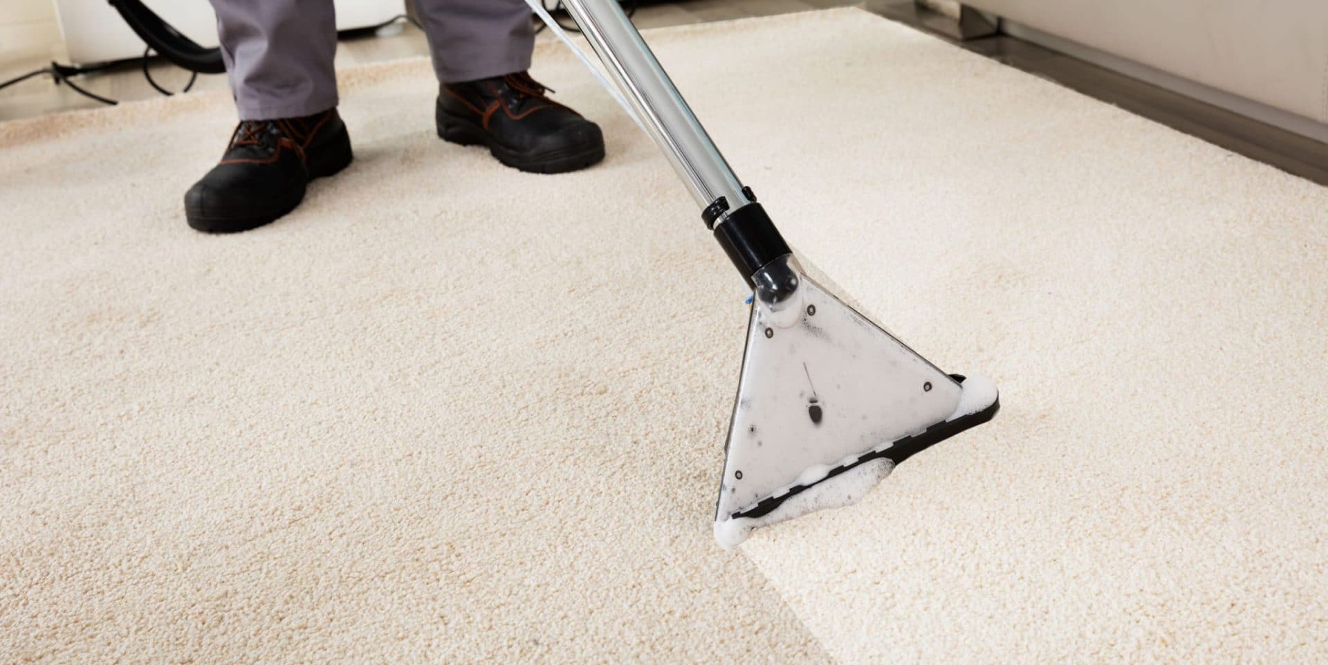 Sepcialist cleaning carpet with carpet cleaner