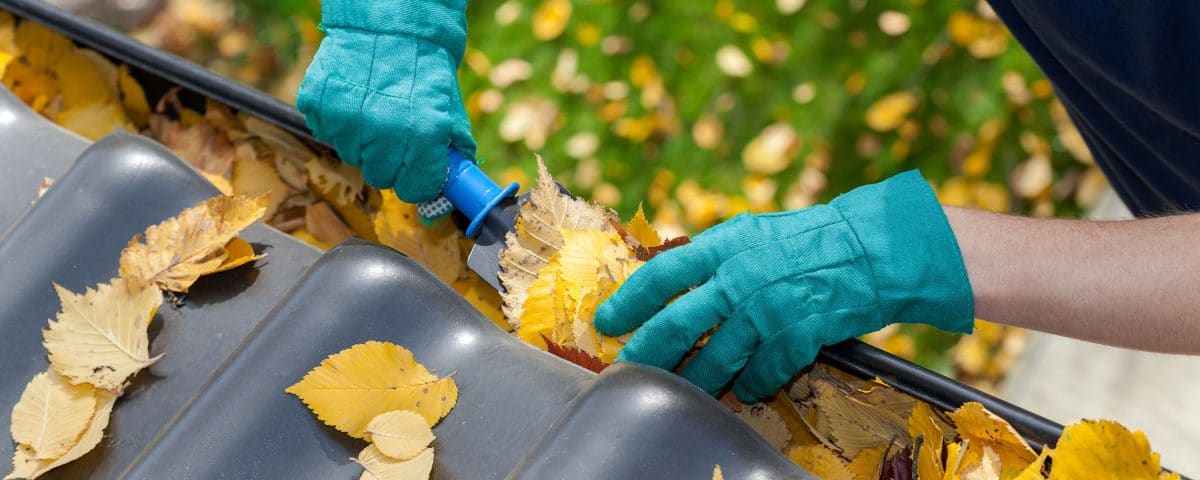 A man taking autumn leaves out of gutters