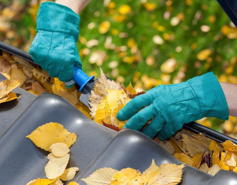 A man taking autumn leaves out of gutters