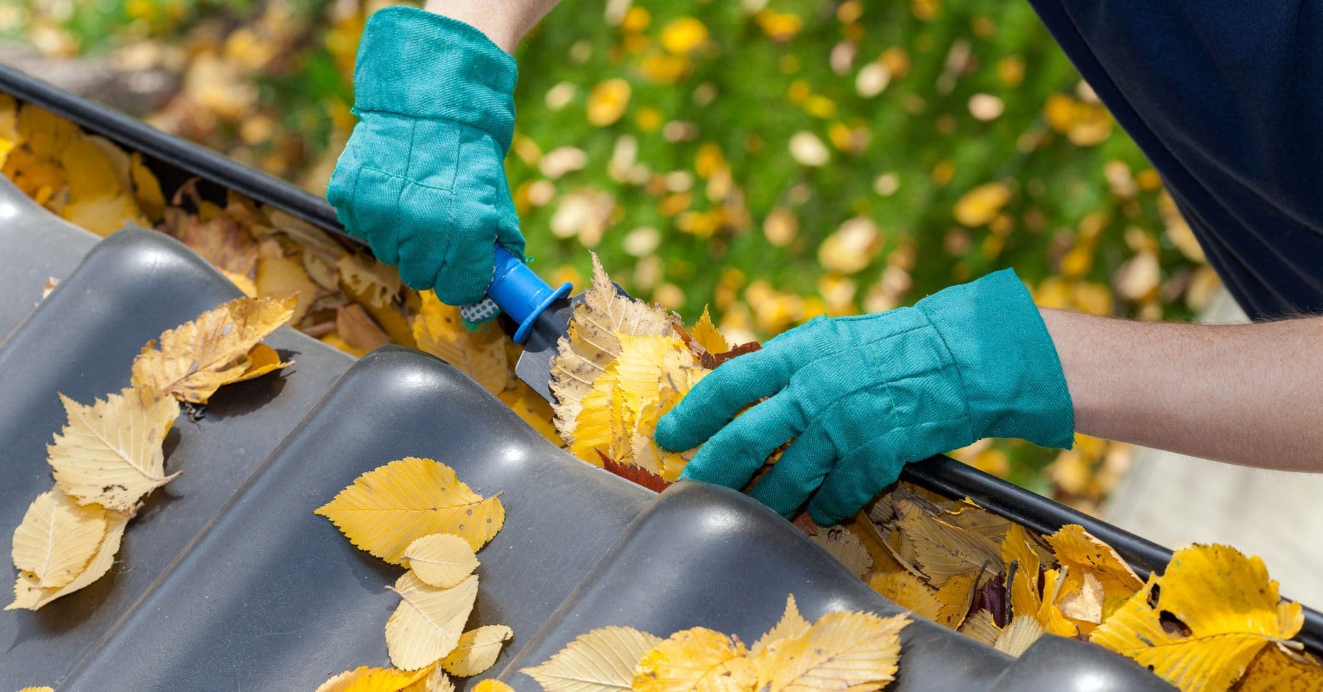 A man taking autumn leaves out of gutters