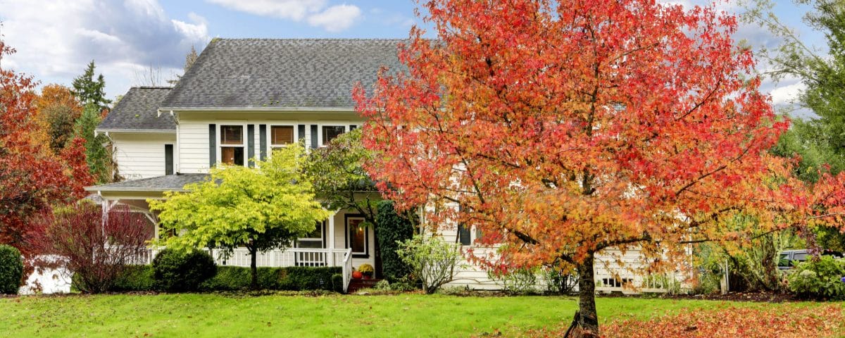 White horse farm American house during fall with green grass