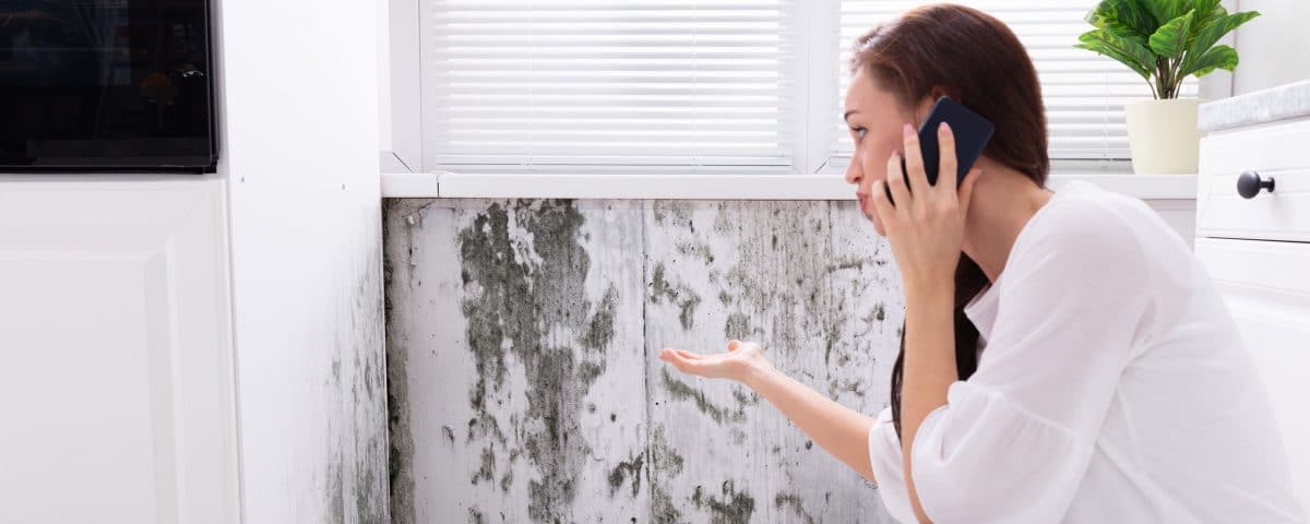 Side View Of A Young Woman Calling For Assistance On Cellphone Near Moldy Wall