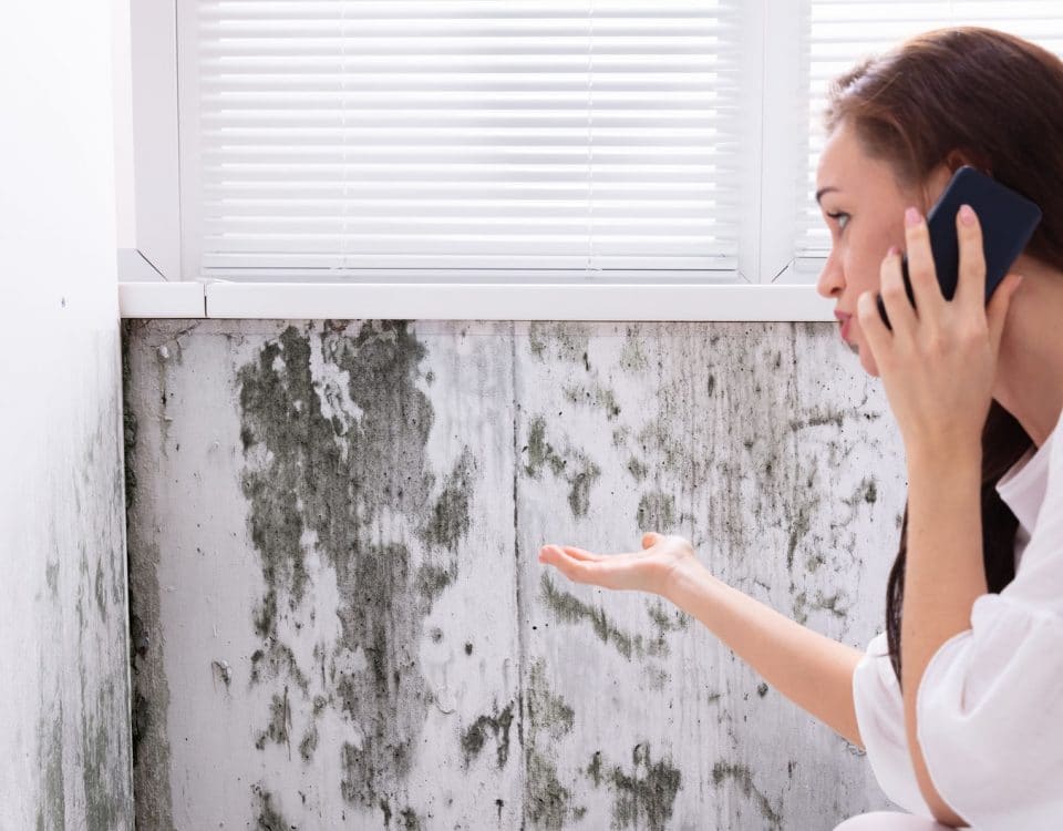 Side View Of A Young Woman Calling For Assistance On Cellphone Near Moldy Wall