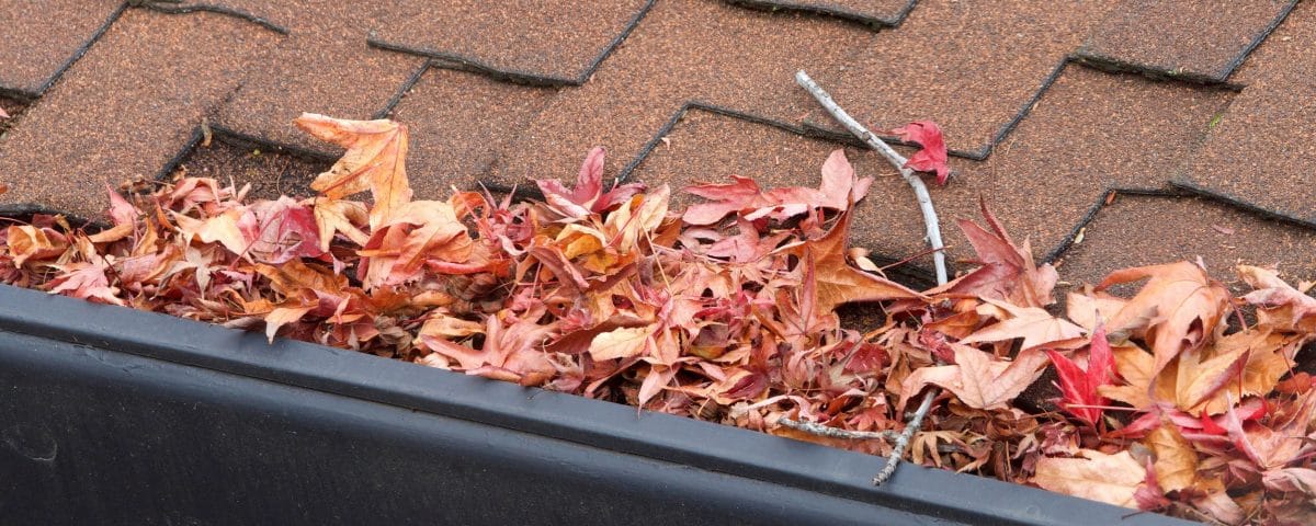 Rain gutter clogged with leaves