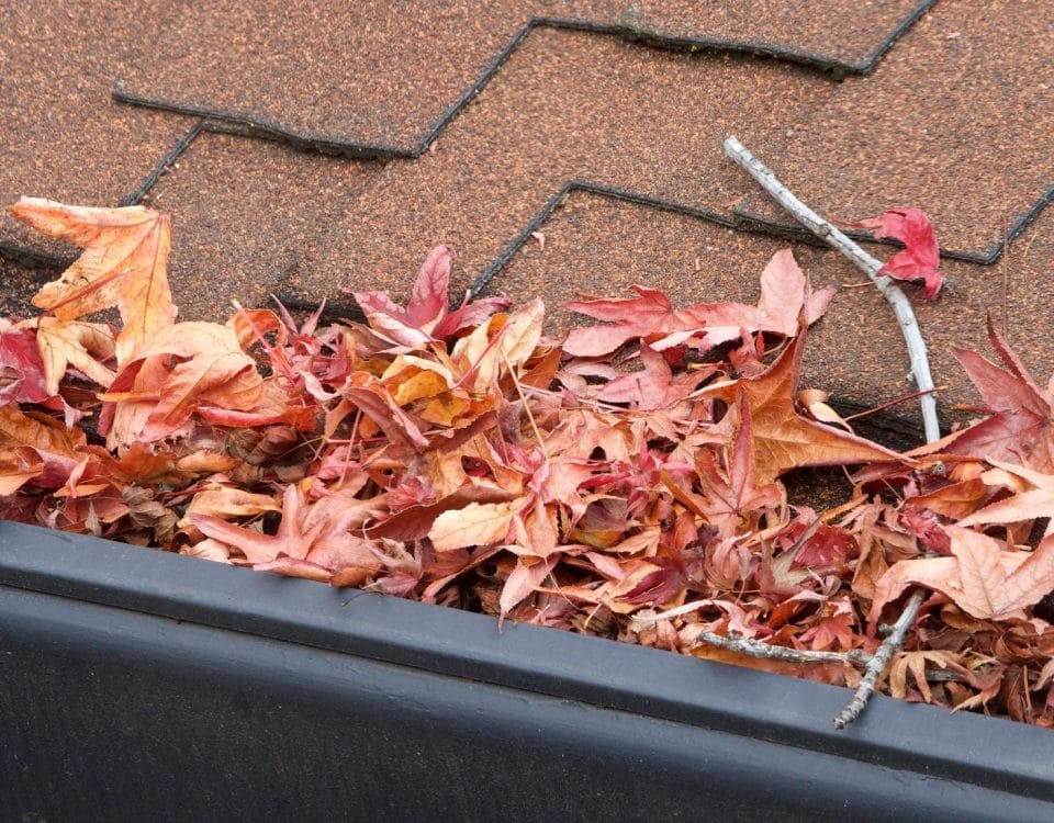 Rain gutter clogged with leaves