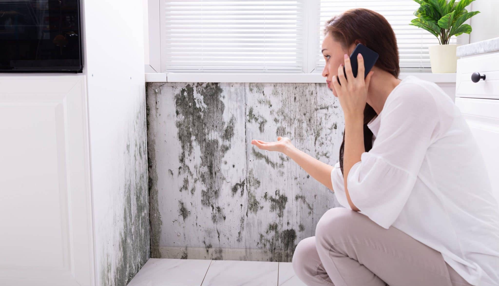 Woman calling for disaster cleanup in front of a mold covered wall