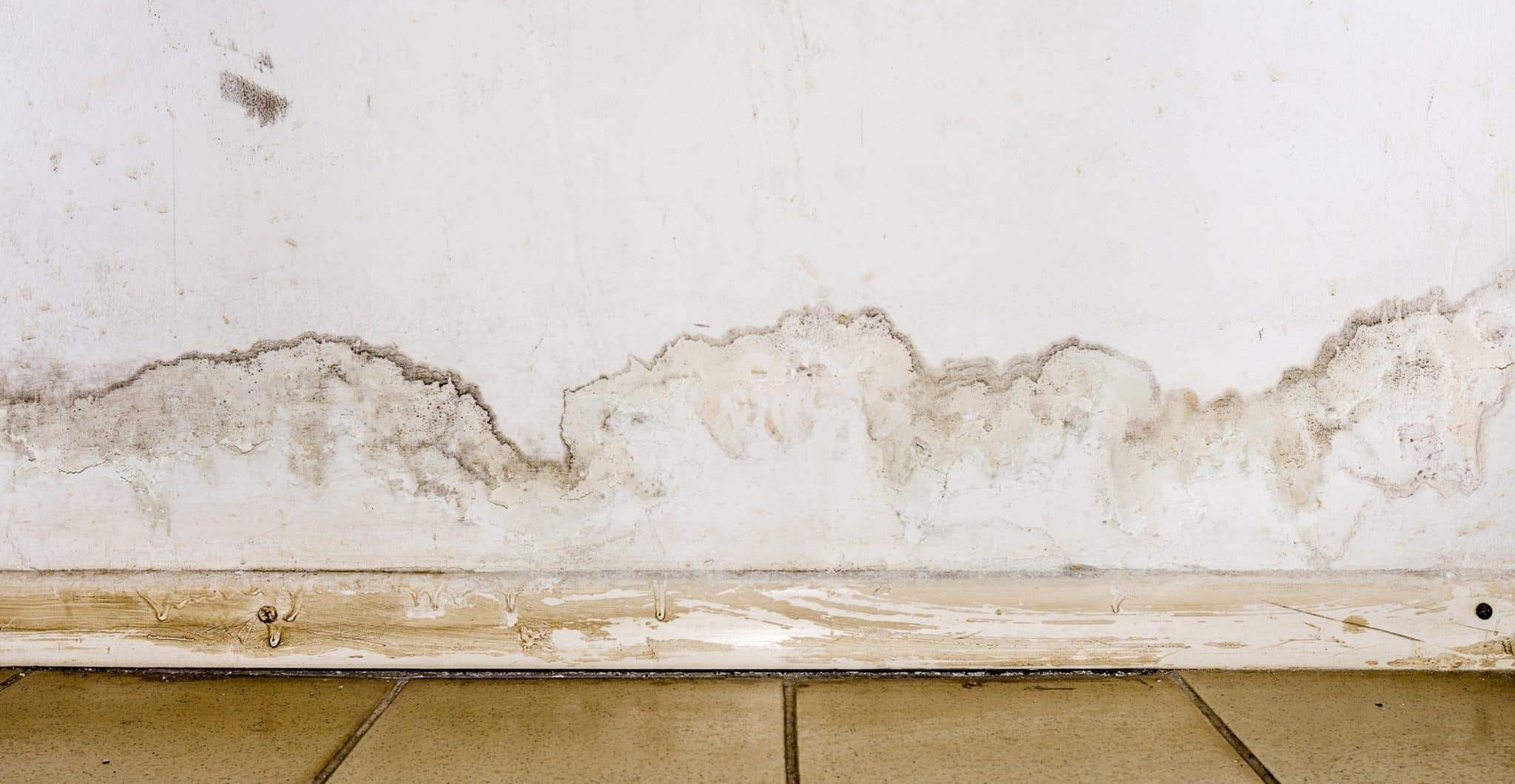 Water damaged drywall behind baseboards of a home