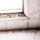 Mold growing on a window and wall of a home