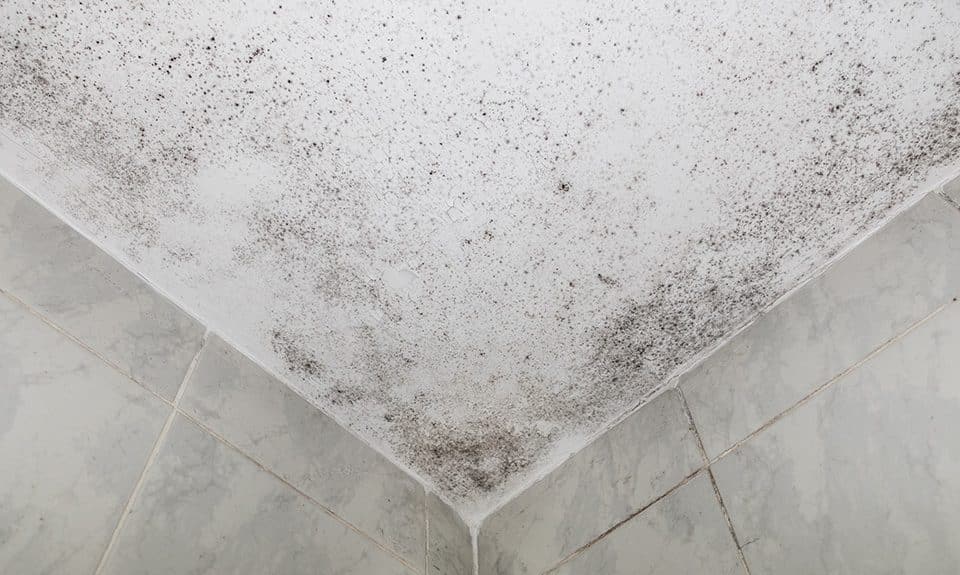 Mold growing on water damaged drywall in a bathroom