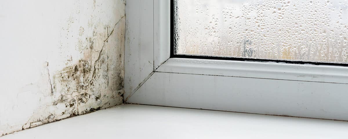 Mold in the corner of a house window with condensation on it
