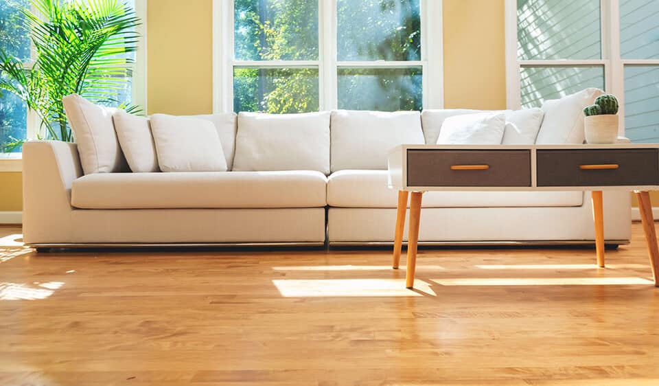 Living room with hardwood floors, sofa and coffee table