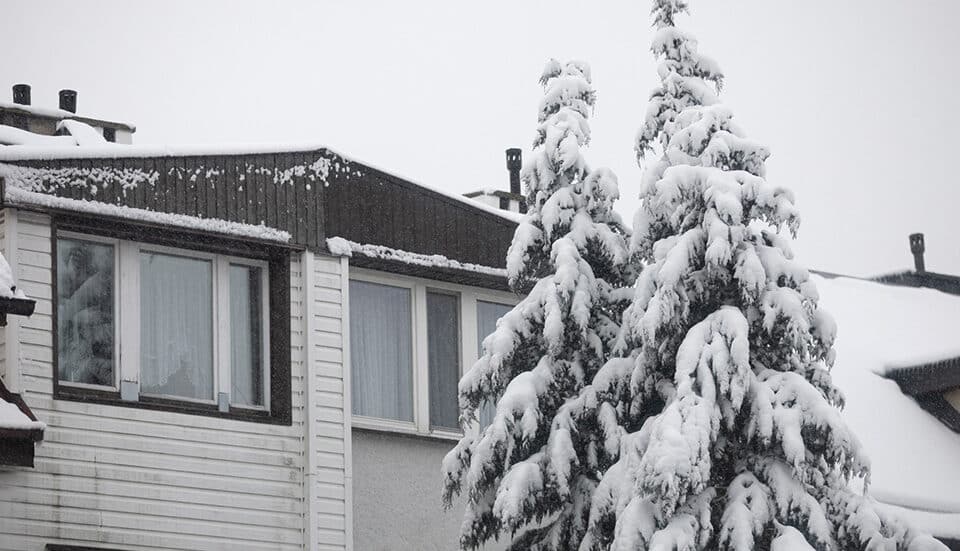 Front of a home with snow covered roof and trees