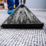Professional cleaner extracting water from a carpet