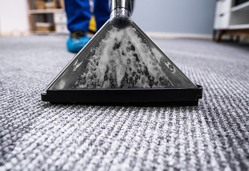 Professional cleaner extracting water from a carpet