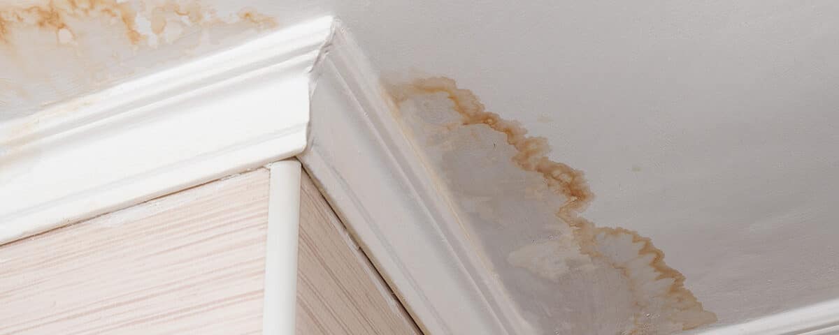 Water damaged ceiling and crown molding