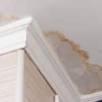 Water damaged ceiling and crown molding