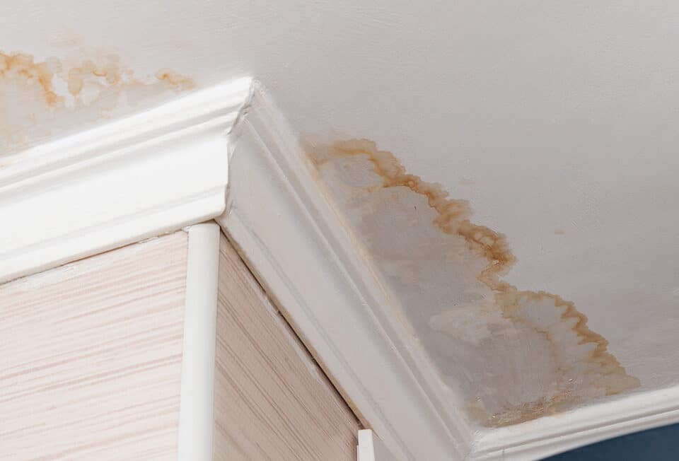 Water damaged ceiling and crown molding
