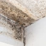 Mold growing on the ceiling and walls of a home